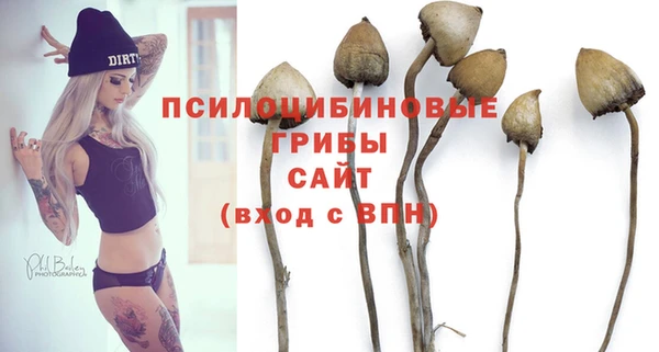 кокс Белокуриха