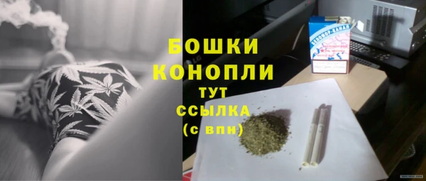 кокс Белокуриха