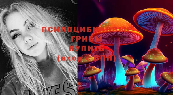 соль ск Беломорск