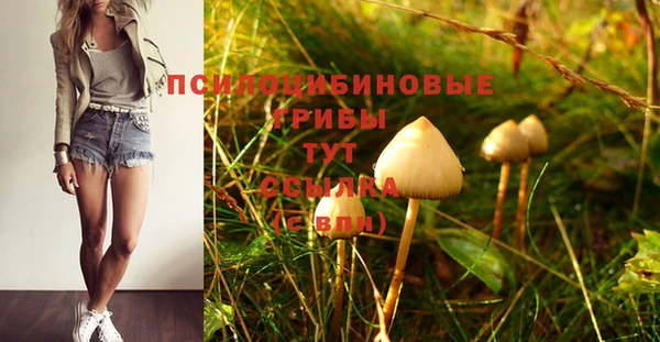 кокс Белокуриха