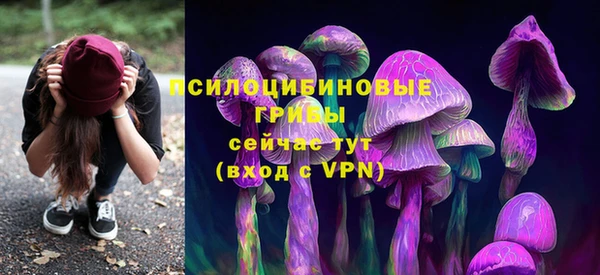 кокс Белокуриха