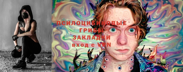 кокс Белокуриха