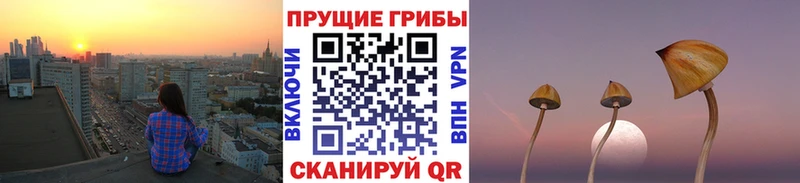 площадка наркотические препараты  Вельск  Галлюциногенные грибы MAGIC MUSHROOMS 